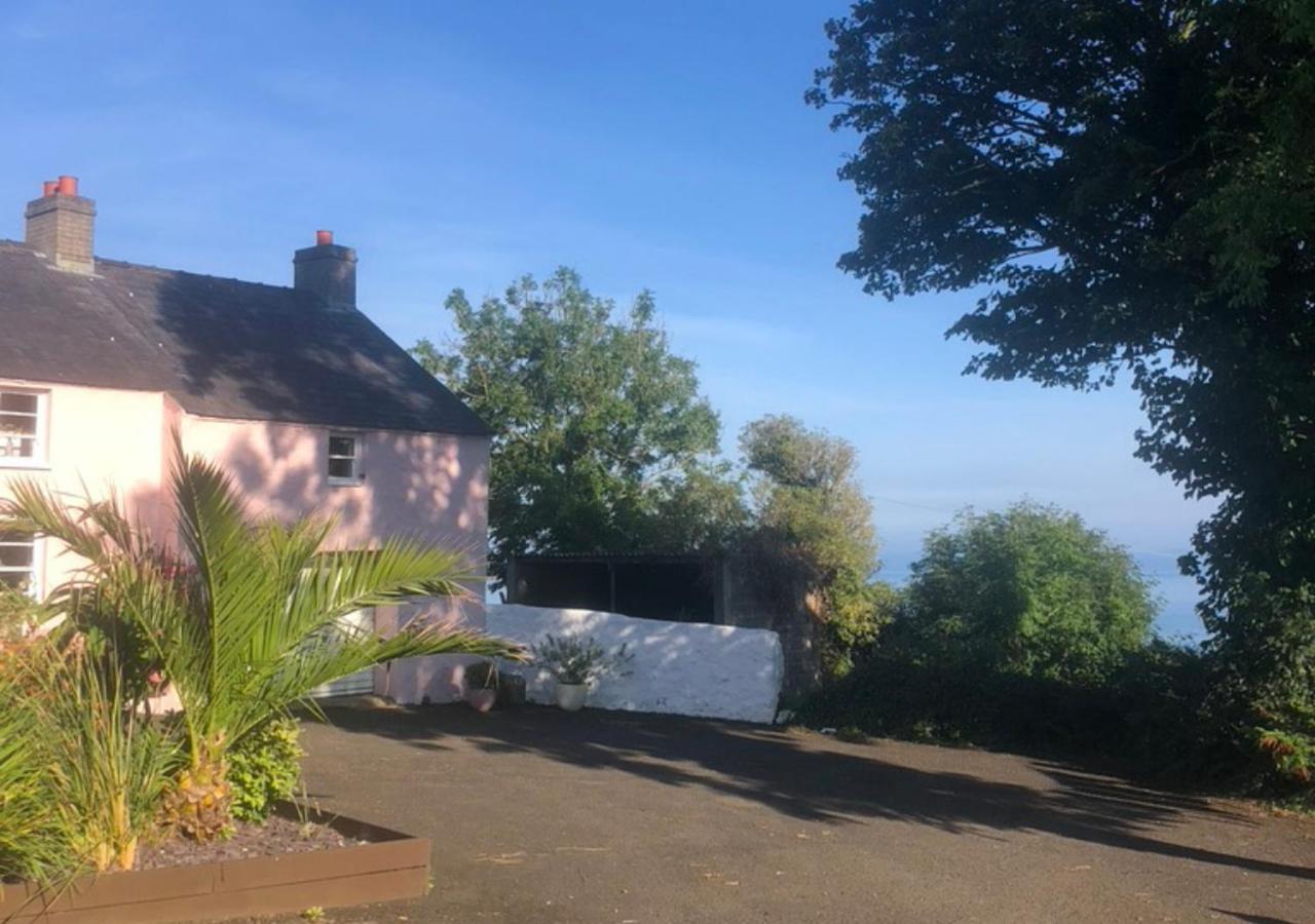 The Pink Cottage Upstairs Suite & Garden Summer Room Whitehead エクステリア 写真