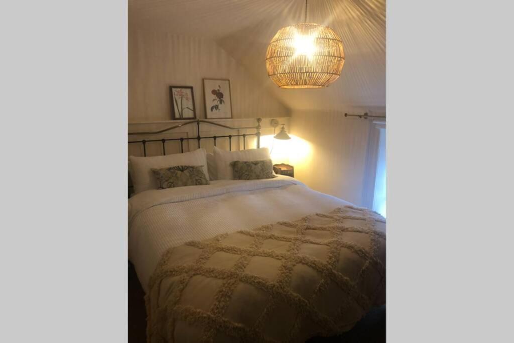 The Pink Cottage Upstairs Suite & Garden Summer Room Whitehead エクステリア 写真