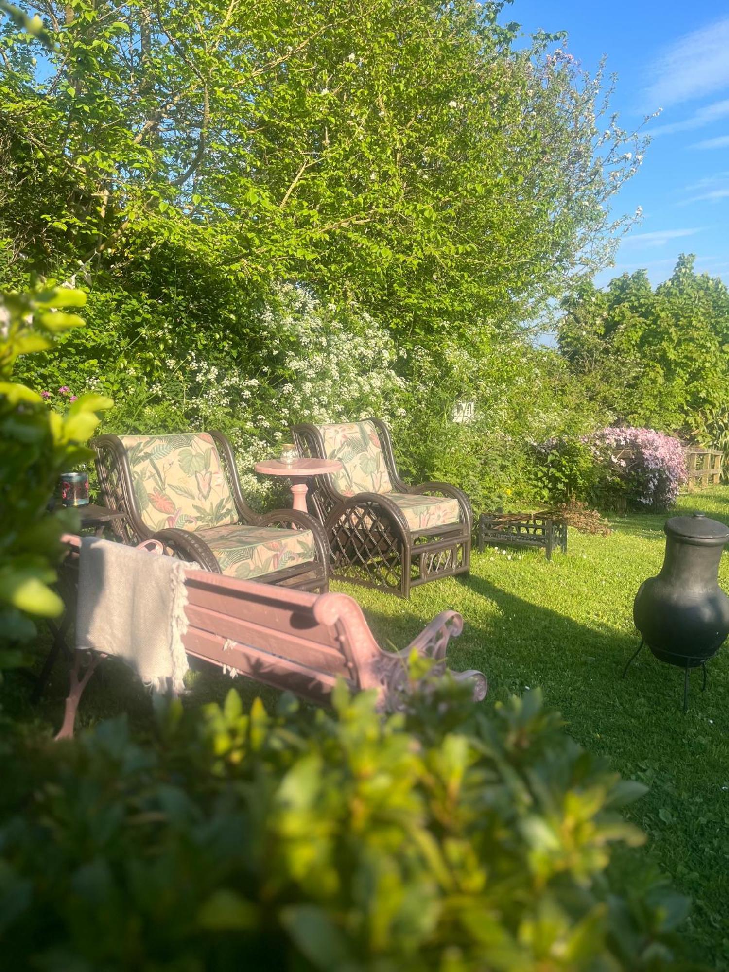 The Pink Cottage Upstairs Suite & Garden Summer Room Whitehead エクステリア 写真