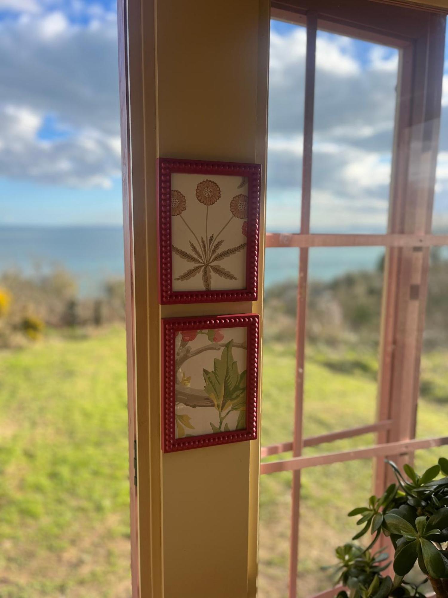 The Pink Cottage Upstairs Suite & Garden Summer Room Whitehead エクステリア 写真