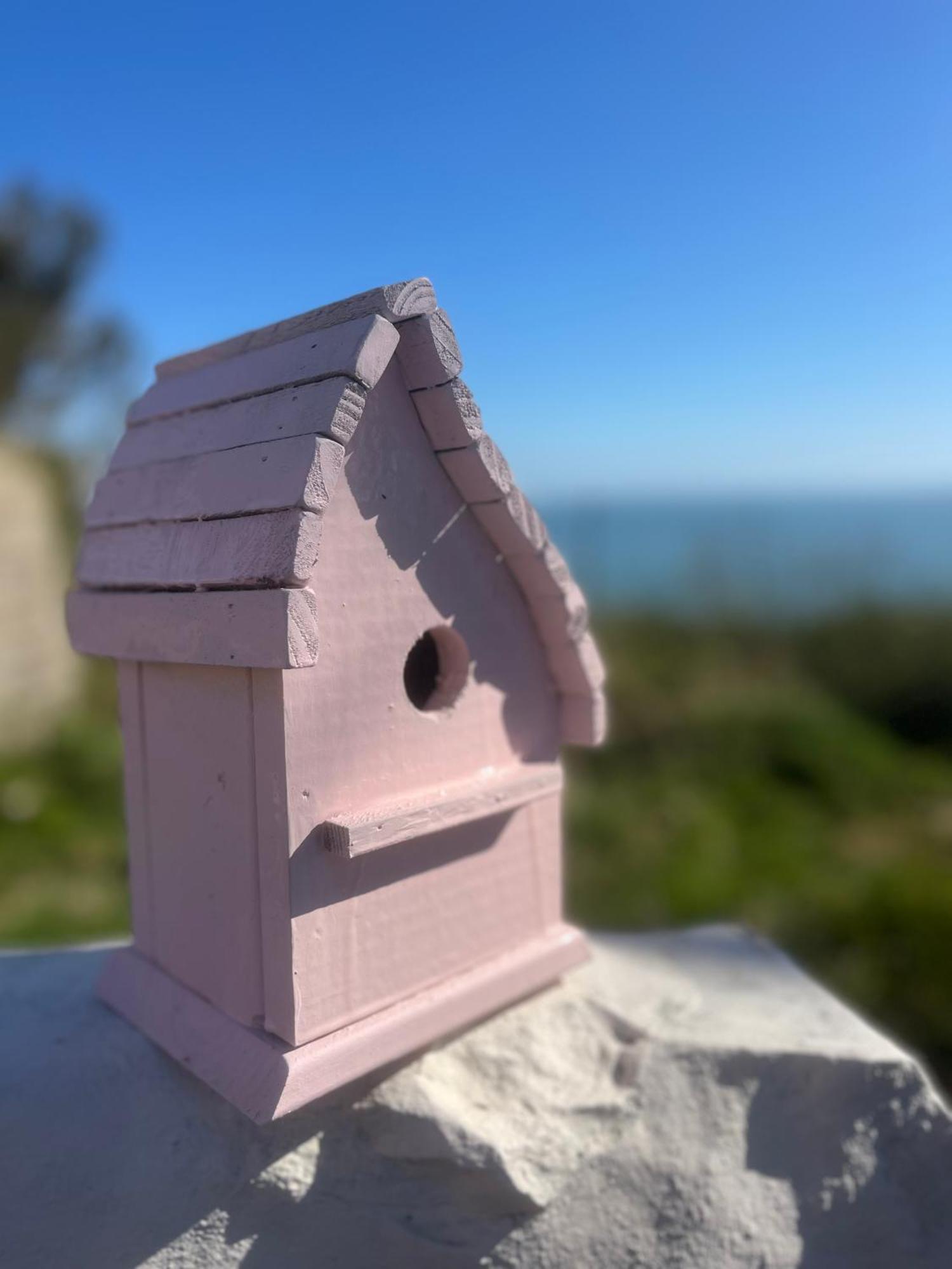 The Pink Cottage Upstairs Suite & Garden Summer Room Whitehead エクステリア 写真