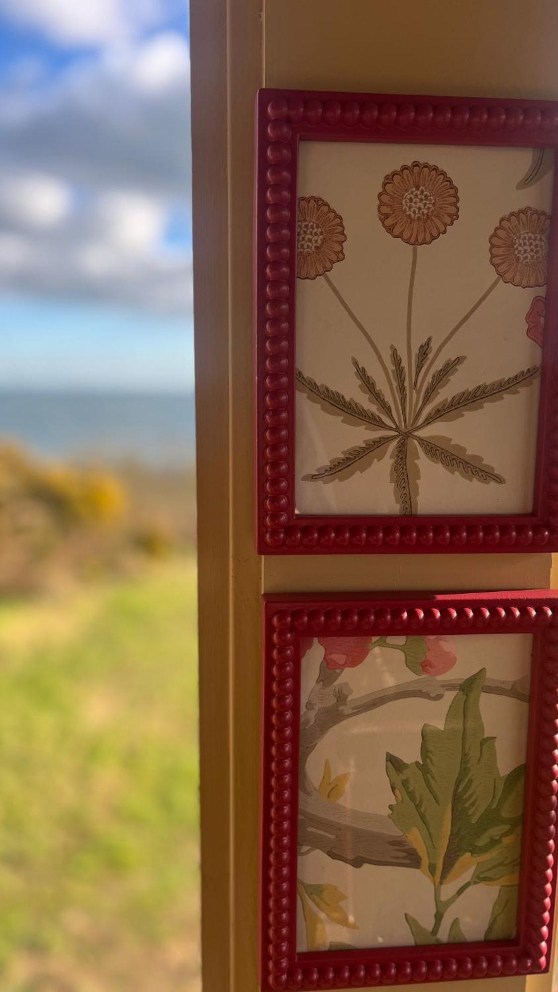 The Pink Cottage Upstairs Suite & Garden Summer Room Whitehead エクステリア 写真